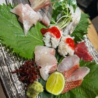 鮨 からす 十三店 - 