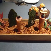 プレヴナンス - 