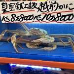 越前がに やまに水産 - 