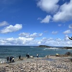 越前がに やまに水産 - 