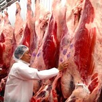 炭火焼肉 日本橋イタダキ - 