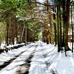 E.Bu.Ri.Ko - 銀世界も美しい軽井沢(ﾉ◕ヮ◕)ﾉ*.✧