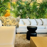 The Blue Room - 