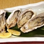 Marusada Ryokan - 的矢産　殻付き生牡蠣