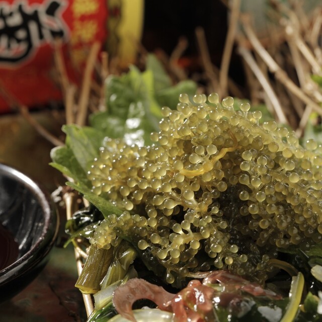 旬鮮家 かんからかんのご予約 - 大和新庄/日本料理 | 食べログ