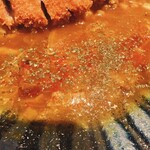 Magaride Supaisu Yano Kare - 魚介出汁の清流出汁カレー♪