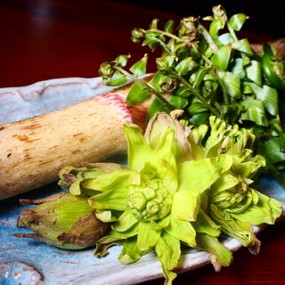 春限定！山菜の天ぷら！