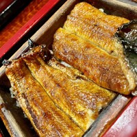 にょろ助 銀座 - 