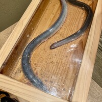 にょろ助 銀座 - 