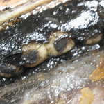 やきだんご 銀月 - ごまの量がすごい