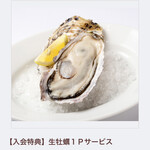 Oyster Plates - 