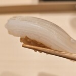 鮨 こう介 - アオリイカ