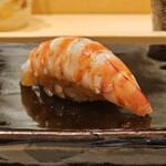 鮨 こう介 - 車海老