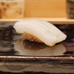 鮨 こう介 - アオリイカ