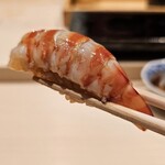 鮨 こう介 - 車海老