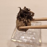 鮨 こう介 - クリームチーズの味噌漬けとトリュフ