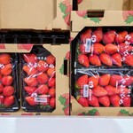 フィール - 宮崎県産「やよいひめ」　599円／パック