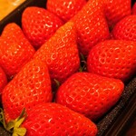 フィール - やよいひめは、
群馬県「とねほっぺ」と栃木県「とちおとめ」のハイブリッド！！
上品な橙赤色で、大粒でしっかりとした果肉、甘さと酸味のバランスに優れ、平均糖度が12度以上あり