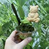 雷一茶 浅草本店