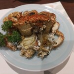 山ざと - 