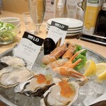 Oyster Plates - 