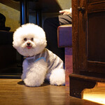 Rue Favart - 階段から一枚パチリ！