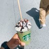 スターバックスコーヒー させぼ五番街店