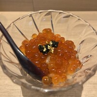 梅田 鮨 よこ田 - 