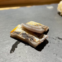 SUSHI TOKYO TEN、 新宿ニュウマン店 - 