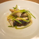 スガハラ - 縞鰺 + 庄内あさつき ヴィネグレット和え