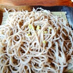 茅ヶ崎 そば処 榮家 - ワサビのせ。