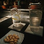 サイタブリア バー - 「柚子のジントニック」と「ひのきのジントニック」