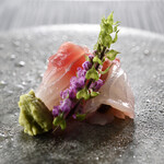 鮨アカデミー樹 - ２季節の刺身