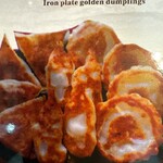 Assortment of 3 types Gyoza / Dumpling