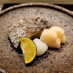 島津 - 太刀魚（小柴）