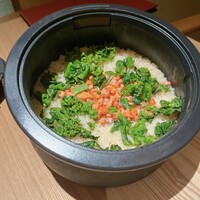 弧柳 - 