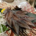 食肴旬菜 富一 - 