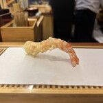 Tempura Miyashiro - 