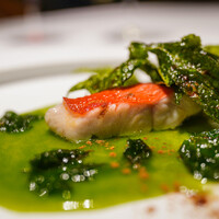 MOSS CROSS TOKYO - 