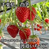 渡邉いちご園