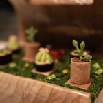 アルカナイズ - 