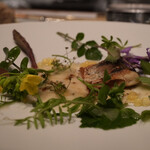 アルカナイズ - 