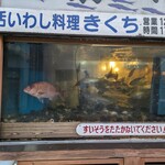 Kikuchi - 気持ち良さそうに泳いでいる魚達