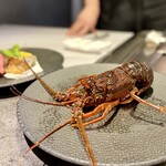 恵比寿 鉄板焼き Sublime - 魚介鉄板料理　活け伊勢海老の鉄板焼き