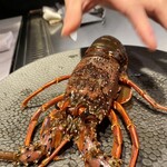 恵比寿 鉄板焼き Sublime - 魚介鉄板料理　活け伊勢海老の鉄板焼き