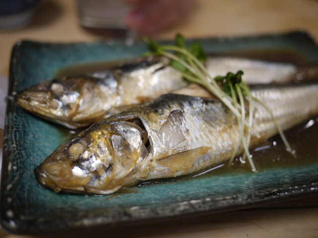 Taishu Kappou Sanshuya Ginza Hon Ten photo 5