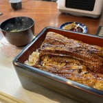 Unagi Ikeda - 