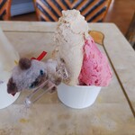 ビッグママ - プラム　カシューナッツ