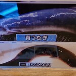 うなぎ亭 友栄 - 青うなぎと一般うなぎ