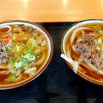 Shirasu Udon - 肉かけ 並 ¥550